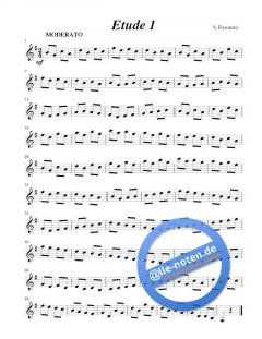 Beginning Exercises And Studies For Two Mallets von Ney Rosauro 