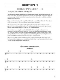 Blues Licks You Can Use von John Ganapes 