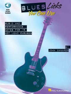 Blues Licks You Can Use von John Ganapes 