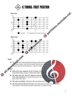 Fretboard Roadmaps: Dobro Guitar von Fred Sokolow 