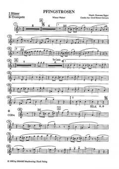 Pfingstrosen (Download) (Download) 