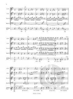 Rockin' Recorders (Peter Bullock) 