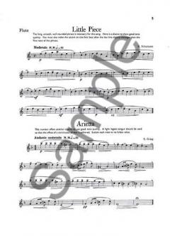 Flute Fancies 