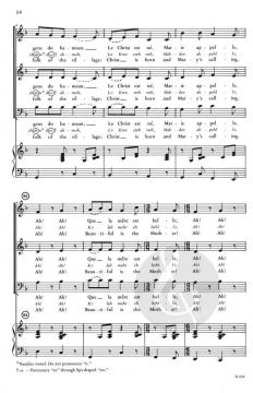 The Language Carols von Johnson 