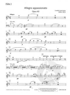 Allegro appassionato h-Moll op. 43 von Camille Saint-Saëns 