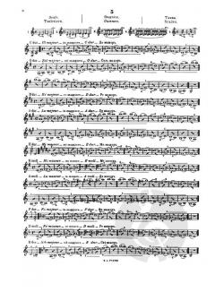 Sevcik Violin Studies Op. 7 Part 1 von Otakar Ševčík im Alle Noten Shop kaufen