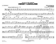 Sweet Caroline von Neil Diamond (Download) 
