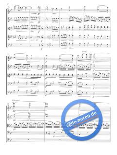 Suite für Streichorchester von Leo Eugen Janáček im Alle Noten Shop kaufen (Partitur)