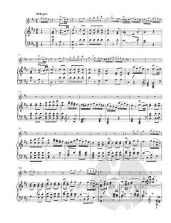 Konzert in D-dur für Flöte und Orchester KV 314 von Wolfgang Amadeus Mozart im Alle Noten Shop kaufen