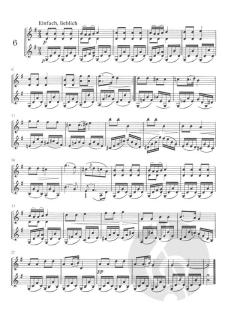20 Duette für 2 Violinen op. 55 von Robert Fuchs im Alle Noten Shop kaufen