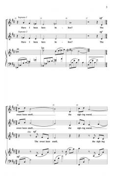 Sudden Light von Donna Schultz (Download) 