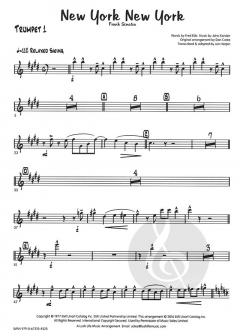 New York New York (Frank Sinatra) 