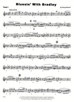 Bluesin With Bradley (Doug Beach) 