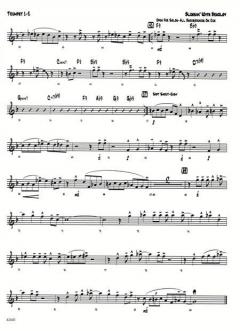 Bluesin With Bradley (Doug Beach) 
