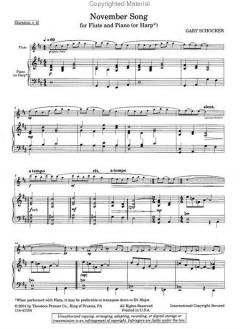 November Song von Gary Schocker 