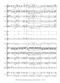 Die Unvollendete von Franz Schubert 