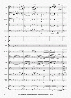 Die Unvollendete von Franz Schubert 