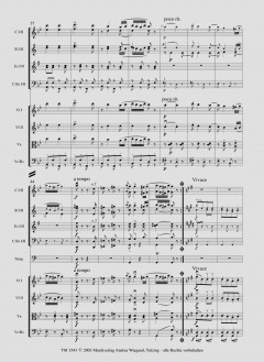 Ungarischer Tanz Nr. 5 von Johannes Brahms 