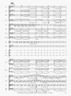 Die Moldau von Bedrich Smetana 