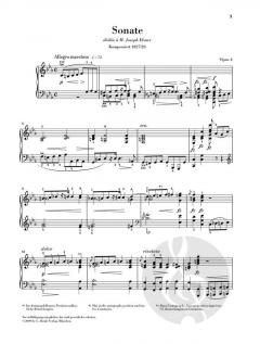 Klaviersonate c-moll op. 4 von Frédéric Chopin im Alle Noten Shop kaufen