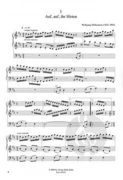 Liber organi bavarese von Wolfgang Hildemann 