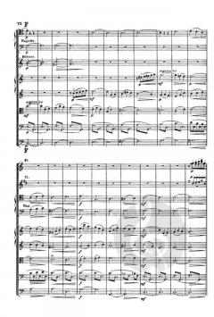 Symphonie Nr. 7 B-Dur op. 201'In den Alpen' von Joachim Raff 