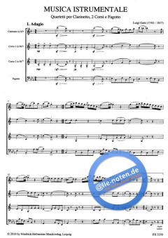 Musica Istrumentale (Luigi Gatti) 