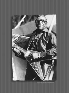 The Very Best Of Albert King von Albert King 