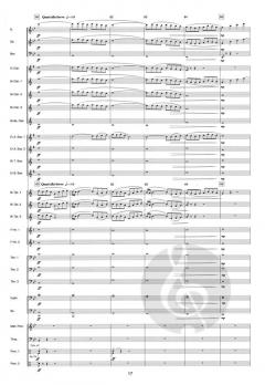 Concerto d'Amore von Jacob de Haan 