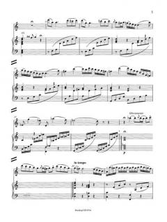 3 Kadenzen zu W.A. Mozarts Konzert C-Dur KV299 (297c) von Michael Kühn 