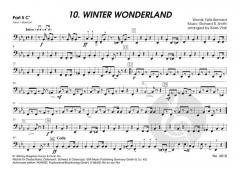 The Young Christmas Album 3 / Wonderful Christmas 