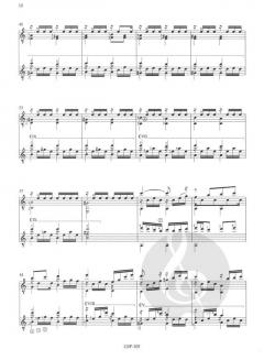 The Guitar Works Of Paulinho Nogueira von Paulino Nogueria 