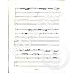 Concerto in B flat major (Giuseppe Giuliano) 