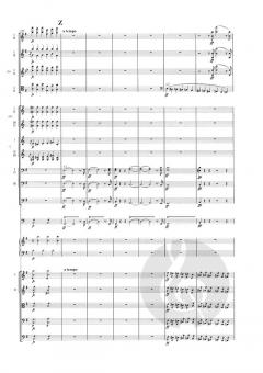 Symphonie Nr. 1 e-moll op. 39 von Jean Sibelius 