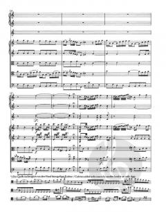 Violoncello Konzert Hob.VIIb:1 von Joseph Haydn 