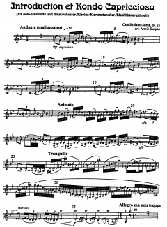 Introduction et Rondo Capriccioso (Camille Saint-Saëns) 