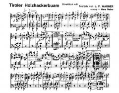 Tiroler Holzhackerbuam (Joseph Franz Wagner) 