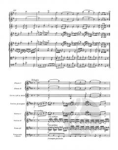 Violinkonzert G-Dur KV 216 von Wolfgang Amadeus Mozart 
