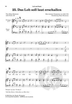 Solo Band 2 