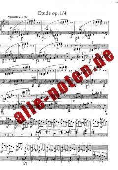 Wege zu Franz Liszt 