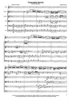 Concentus brevis von Matilde Capuis 
