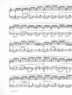 12 Etudes in All The Minor Keys von Marc-André Hamelin für Klavier im Alle Noten Shop kaufen