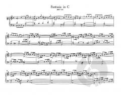 Orgelwerke Band 6 von Johann Sebastian Bach im Alle Noten Shop kaufen - BA5176