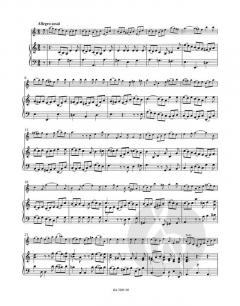 Konzert BWV 1041 von Johann Sebastian Bach für Violine, Streicher und Basso Continuo im Alle Noten Shop kaufen