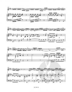 Konzert BWV 1042 von Johann Sebastian Bach für Violine, Streicher und Basso Continuo im Alle Noten Shop kaufen