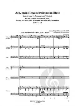 Ach, mein Herze schwimmt im Blute TVWV 1:29 (Georg Philipp Telemann) 