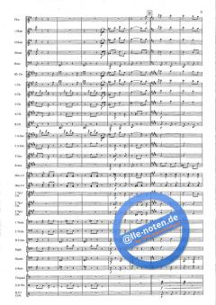 Tritsch-Tratsch-Polka (Johann Strauss (Sohn)) 