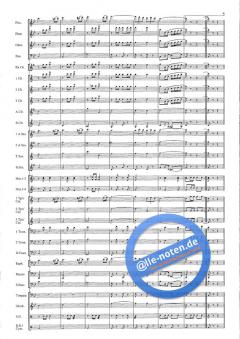 Man Of Music (Hans J. Honegger) 