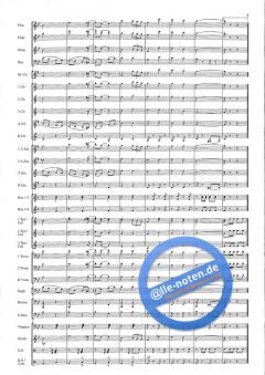 Man Of Music (Hans J. Honegger) 