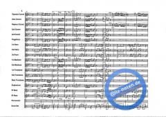 Jarna Polka von Adam Hudec 
